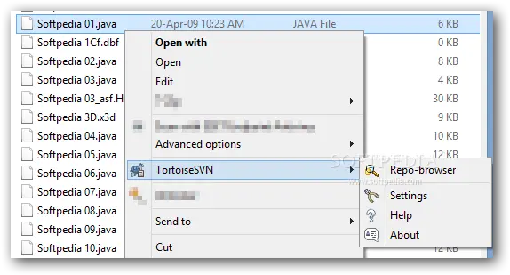 Download Software 2009 Vertical Png Tortoise Svn Icon