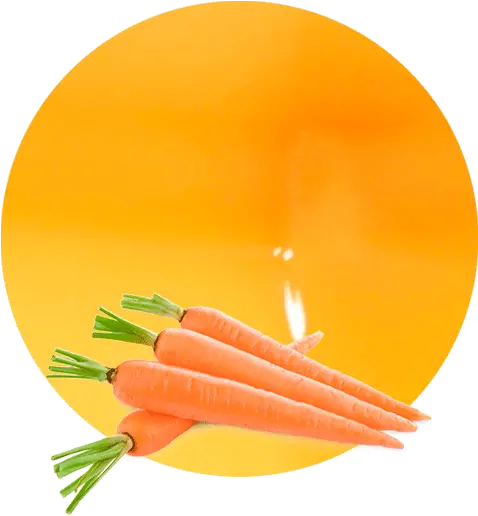 Carrot Juice Nfc Manufacturer U0026 Supplier Lemonconcentrate Png Carrots Png
