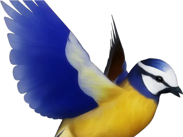 Flying Bird Clipart Png Colorful Bird Flying Png Bird Png Bird Flying Png