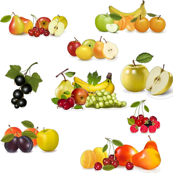 Exquisite Fruits Clipart Png Format Free Transparent Fruit Vector Png Fruit Clipart Png png