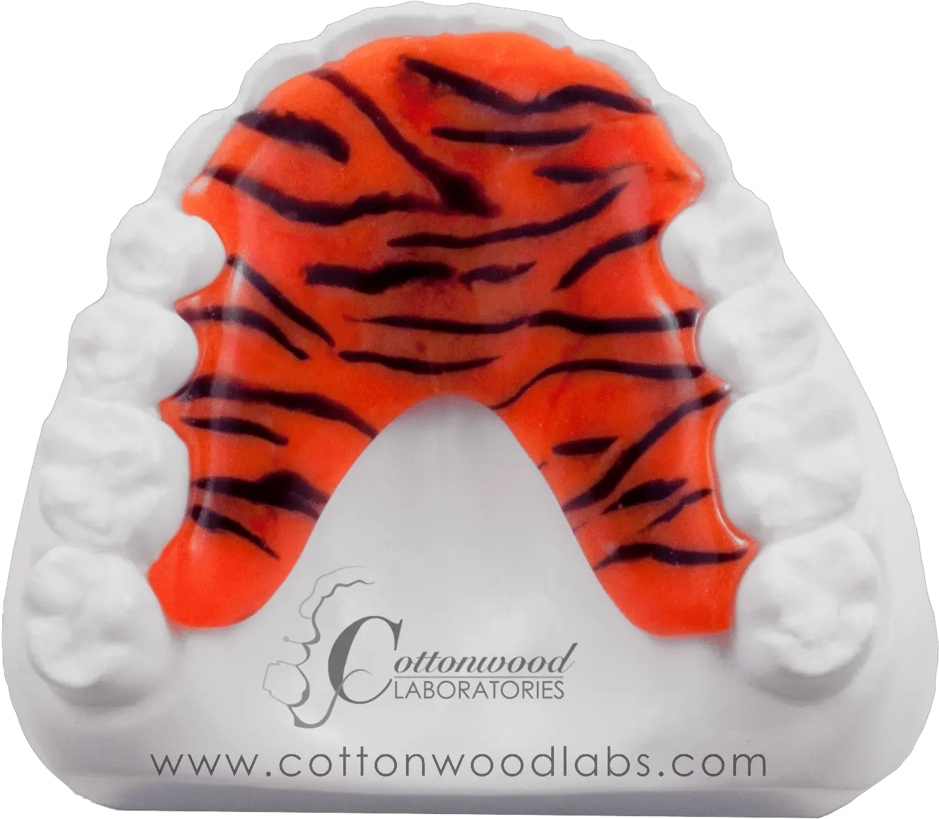 Cottonwood Labstiger Stripes Cottonwood Labs Tiger Png Tiger Stripes Png