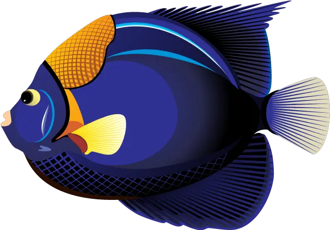 Download Tropical Fish Fish Clipart Png Ocean Clipart Png