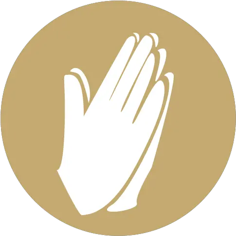 Prayer Png Picture Iconos De Oracion Png Prayer Png