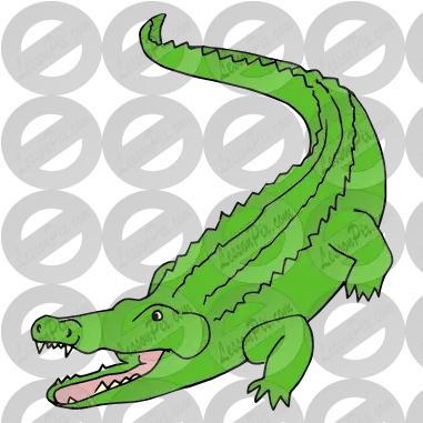 Alligator Picture For Classroom Therapy Use Great American Crocodile Png Alligator Png