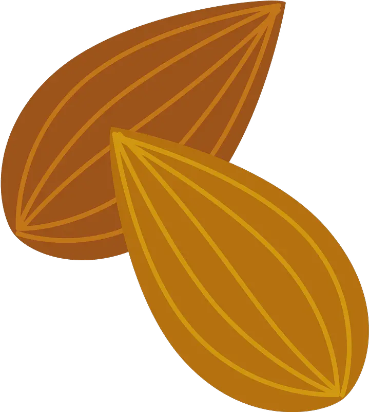 Clipart Almond Clipart Png Almond Transparent