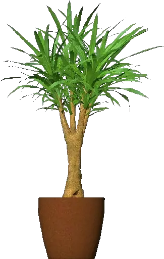 Download 3d Flowers Houseplant Png Corn Stalk Png