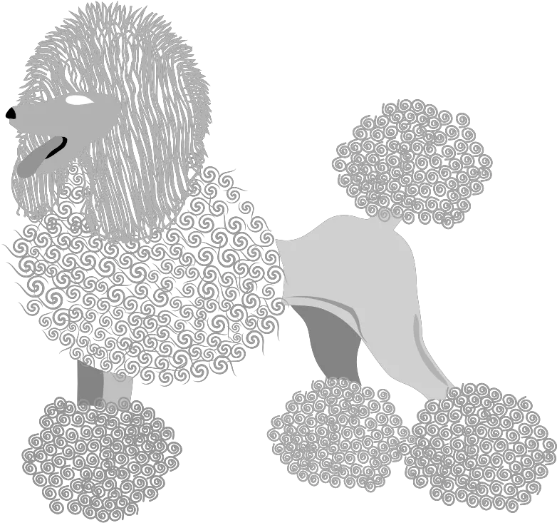 Download This Png File Is About Vector French Poodle Portable Network Graphics Poodle Png