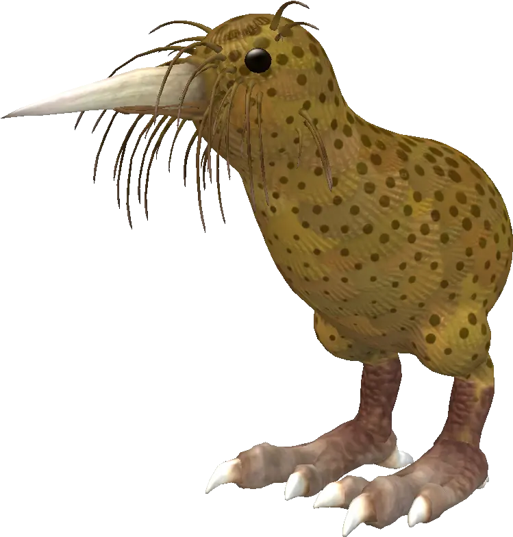 Png Illustration Kiwi Bird Png