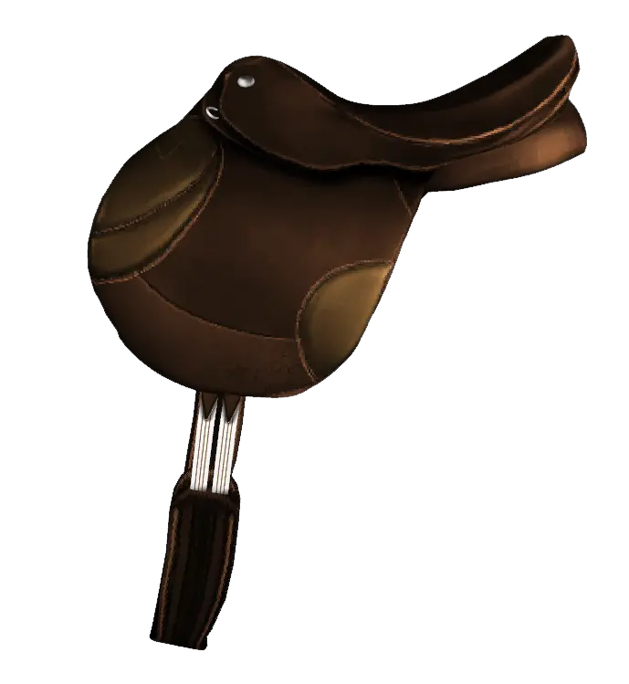 Tack Png And Vectors For Free Download Horse Tack Png Tack Png