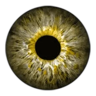 Eye Of Ra Png