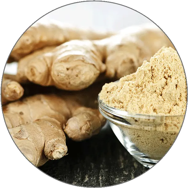 Learn Tamil Alphabets Ginger Root Png Ginger Icon