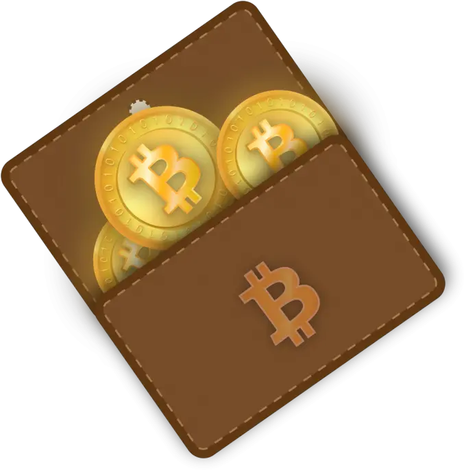 Lose Your Bitcoin Wallet Crypto Wallets Png Wallet Png