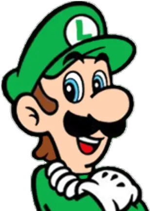 Luigi Red And Green Characters Png Luigi Head Png