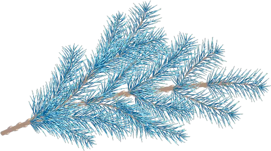 Fir Tree Branches With A Star Photos By Canva Shortstraw Pine Png Pine Branch Png