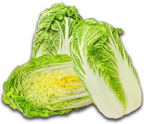 Chinese Cabbage Transparent Png Saata Pekiska Cabbage Transparent Background