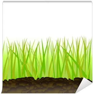 Green Grass Vector Illustration Wall Mural U2022 Pixers We Live To Change Sweet Grass Png Grass Vector Png