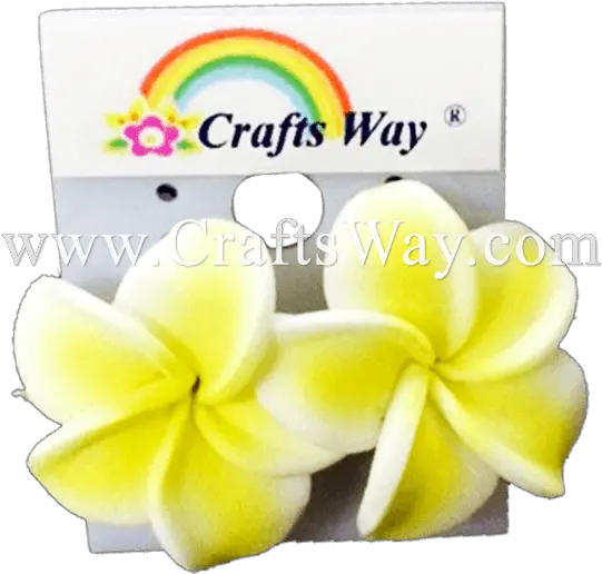 Plumeria Earrings 28 Ecstasy Crafts Png Plumeria Png