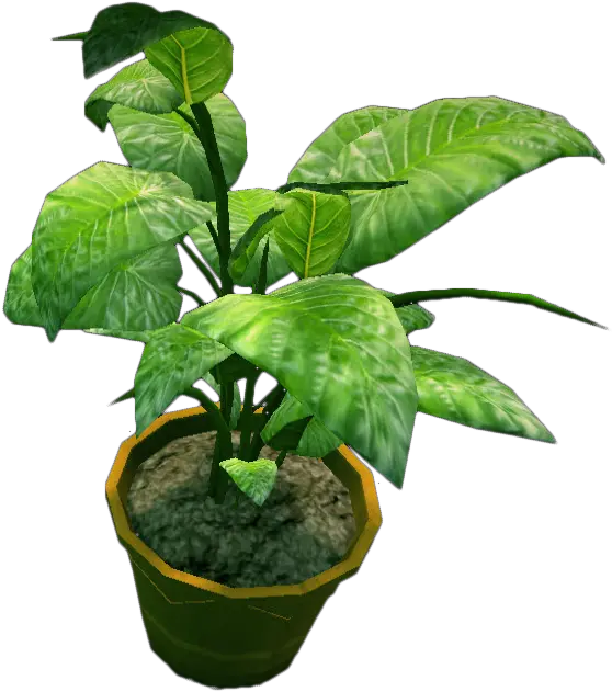 Potted Plant Png Transparent Potted Plants From Top View Plant Top View Png