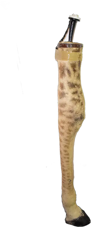 Giraffe Leg Lamp Gll12 Animal Print Png Leg Png