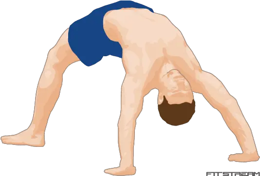 Bridge Bodyweight Exercises Fitstream For Yoga Png Exercise Png