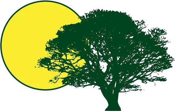 Sun And Shade Gadmin Tree Silhouette Png Shade Icon