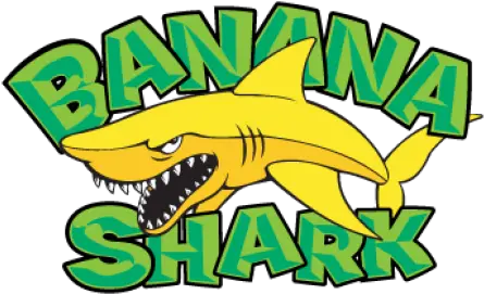 Banana Shark Logo Vector Free Download Banana Shark Logo Vector Png Shark Logo Png