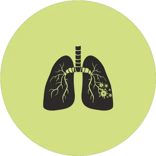 100 Best Cancer Treatment In Chennai Advanced Care Heart Png Lung Cancer Icon