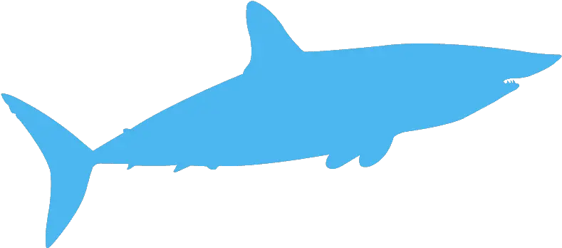 Mako Shark Silhouette Shark Silhouette Blue Clipart Png Shark Silhouette Png