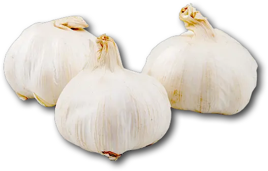 Elephant Garlic Transparent Png Image Elephant Garlic Garlic Png