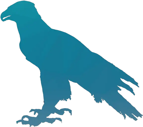 Download Eagle Silhouette Clipart Bald Clip Art Full Quero Ver Foto De Águia Na Montanha Gelada Png Eagle Silhouette Png