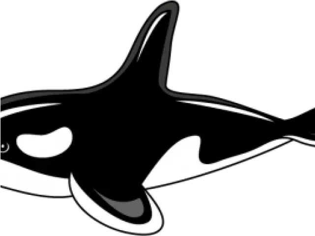 Orca Clipart Killer Whale Clipart Png Whale Clipart Png