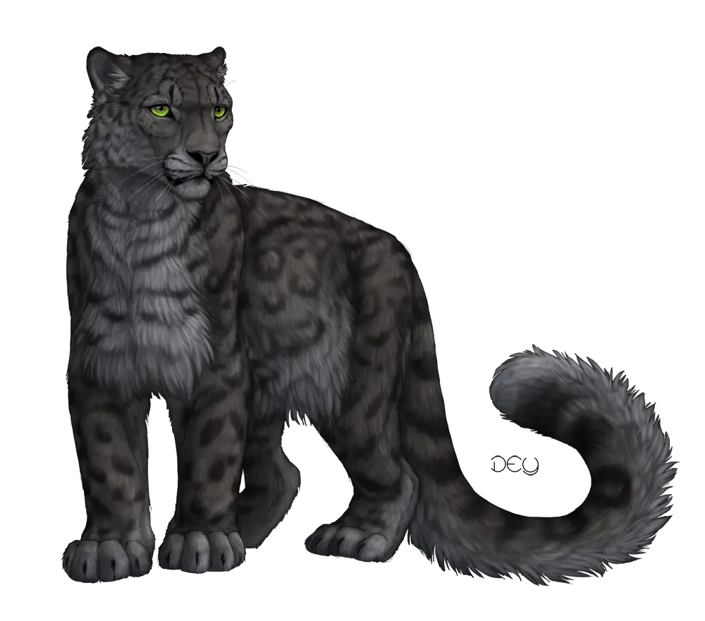 Download Free Png Panther Transparent Images Dlpngcom Black Panther And Snow Leopard Panther Transparent