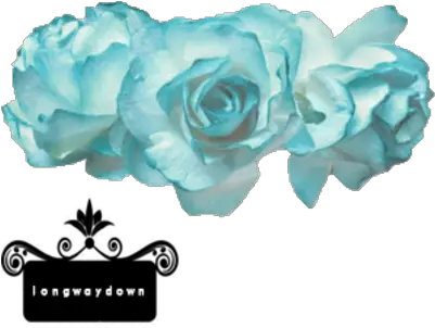 Download Transparent Flower Crown Blue Flower Crown Png Light Blue Flower Crown Png Flower Crown Transparent png