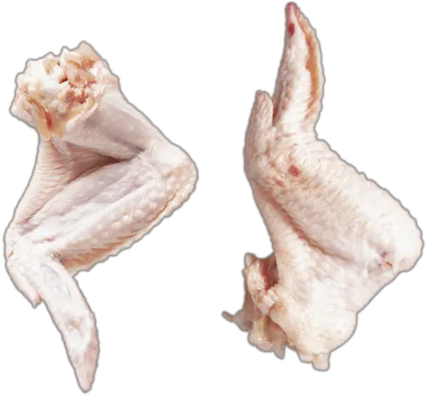 Whole Chicken Wing Whole Chicken Wing Chicken Png Chicken Wing Png