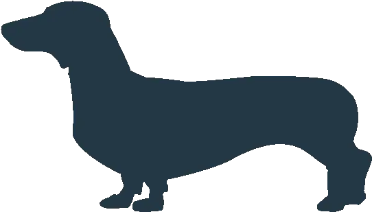 Small Dog Png Weiner Dog Icon Png 1106933 Vippng 20 X 20 Dog Png Dog Icon Png png