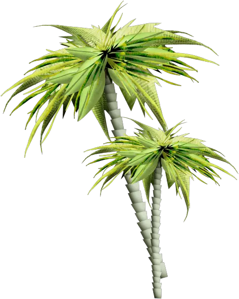 Asian Palmyra Palm Trees Gif Portable Network Graphics Arbres Et Plantes Png Trees Plan Png
