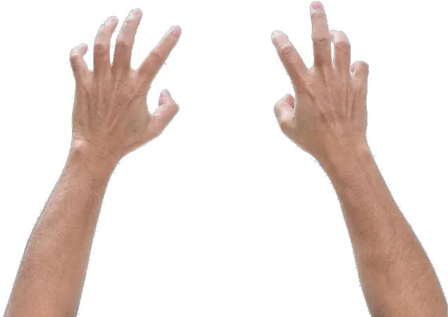 Download Arms And Hands Png Picture Library Stock Image Hands And Arms Png Hands Png