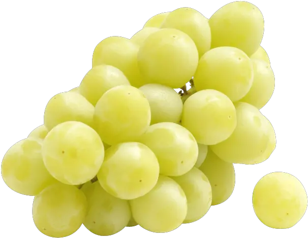 Download Thompson Seedless Sugra One Black Flame Transparent One Grape Png Grape Png