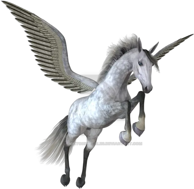 Download Pegasus Png Image Pegasus No Background Pegasus Png