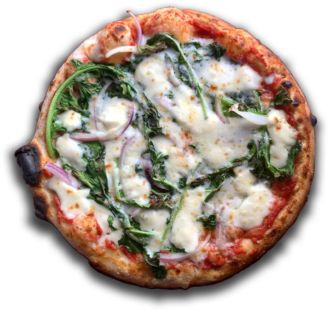 Humble Wood Fire U2013 Fired Pizza And Bagels Based In Wood Fired Pizza Transparent Png Pizza Transparent png