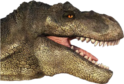 T Rex Head Png Transparent Headpng Images Pluspng T Rex Head Transparent Background Dinosaur Transparent Background