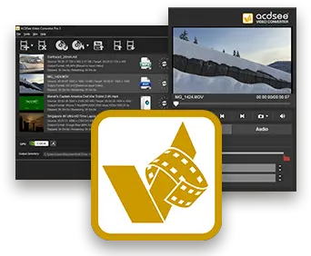 Your Best Digital Asset Language Png Acdsee Icon