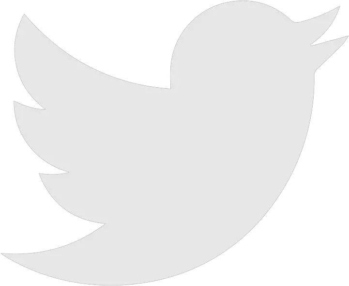 Brand Logo Network Social Twiter Icon Twitter Logo Png White Twiter Logo Png