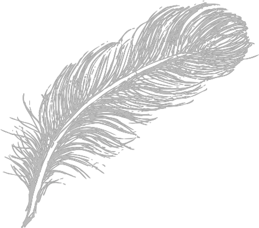 Download Free Png Feather White Feather Drawing Png Feather Drawing Png