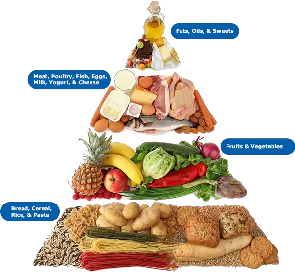 Foods For Diabetics Prodigy Glucometers U0026 Diabetic Supplies Food Pyramid For Older Adults Png Food Pyramid Png png