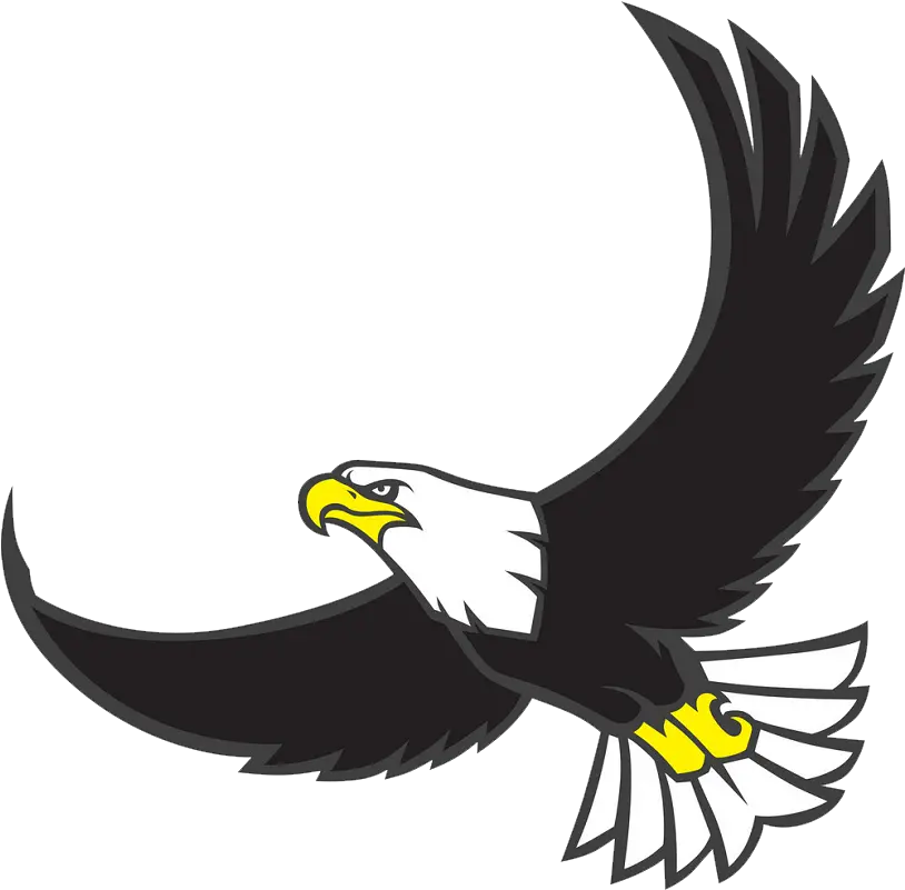 Eagle Head Png Clipart World Logo Vector Flying Eagle Eagle Feather Png