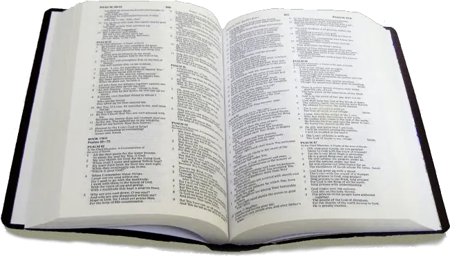 Bible Png Images Book Holy Bible White Background Png Bible Transparent Background