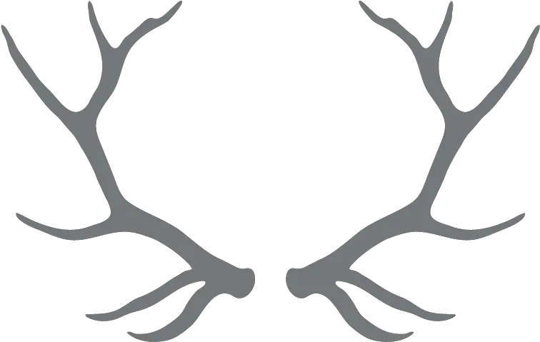 Clipart Free Download Antlers Transparent Background Reindeer Antler Transparent Png Antlers Png