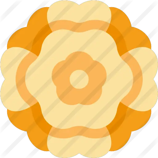 Marigold Illustration Png Marigold Png