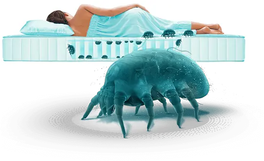 Dust Mites Up To 2 Million In Your Mattress Mattress Png Dust Transparent